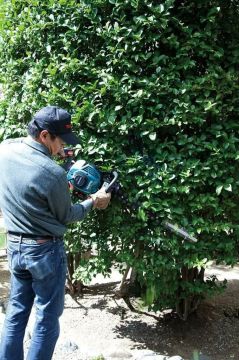 Makita EH6000W Benzinli Çit Budama Makinesi